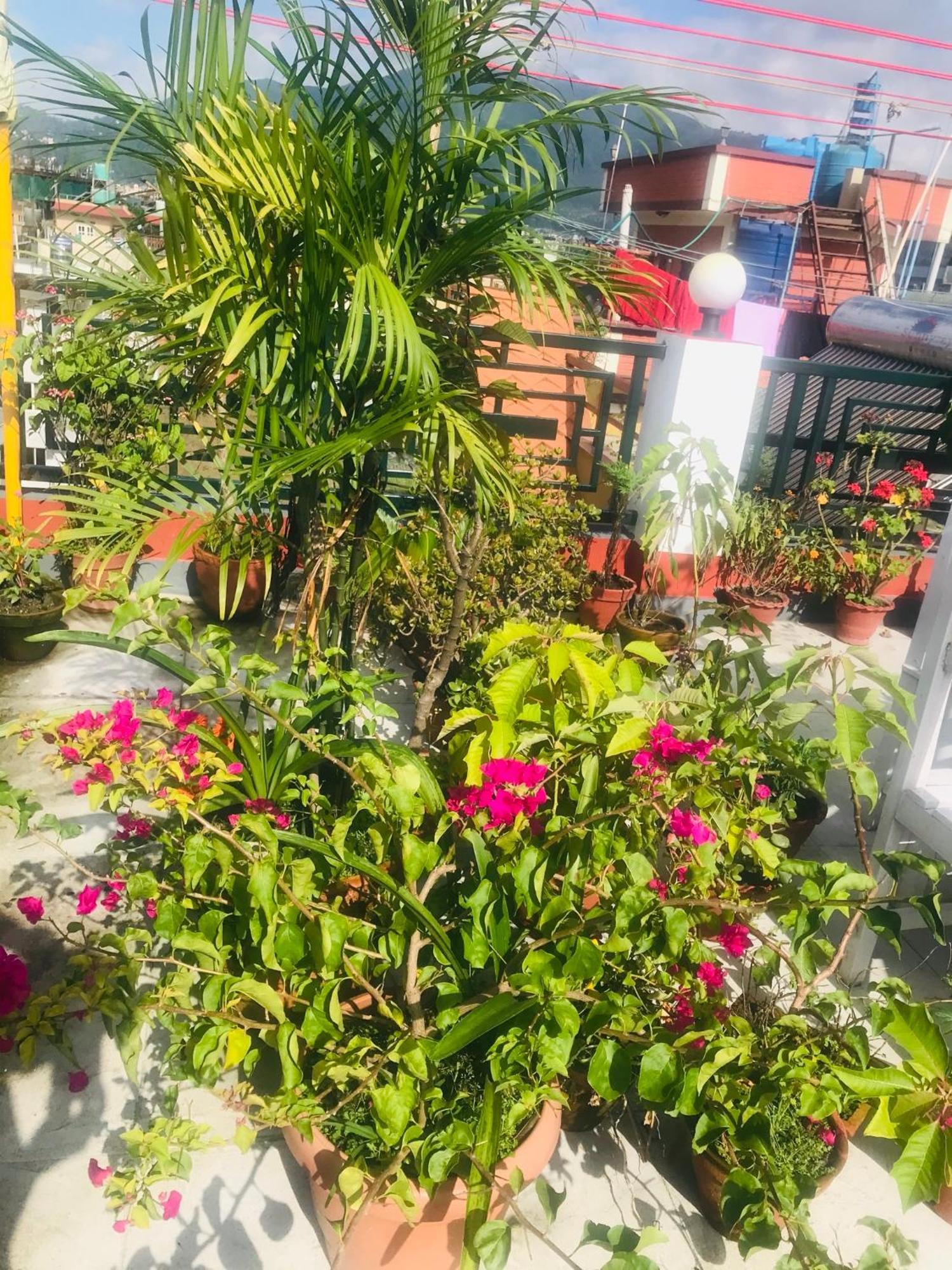 Blue Mountain Home Stay Kathmandu Exterior photo